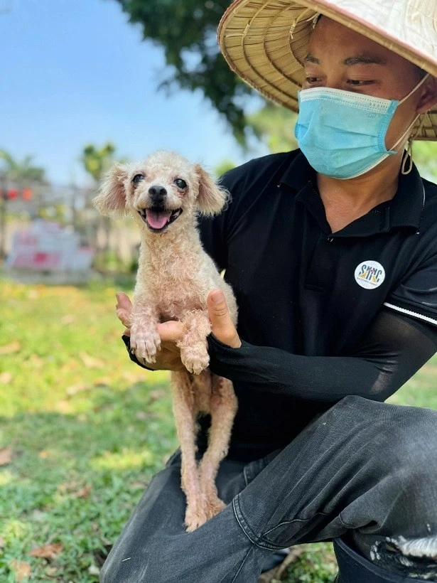 Khi thế giới thay đổi cách yêu thương động vật
