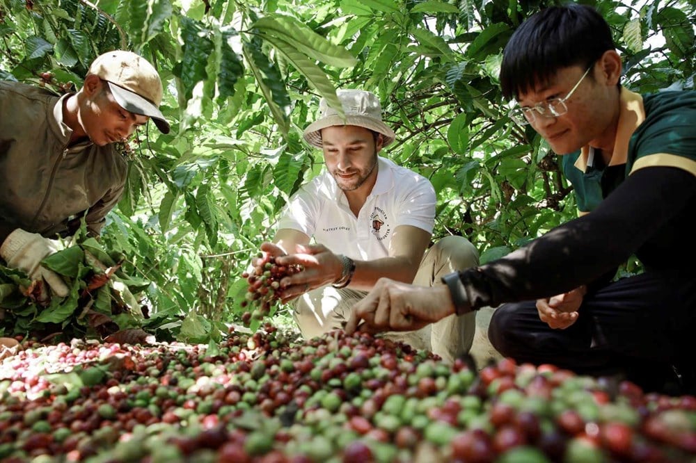 Por que Buon Ma Thuot conquistou a National Geographic? - imagem 2