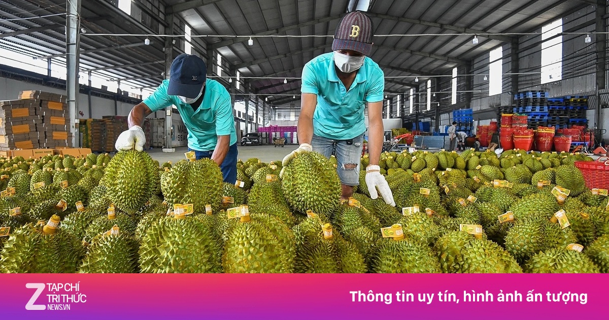 Xuất khẩu sầu riêng tăng vọt