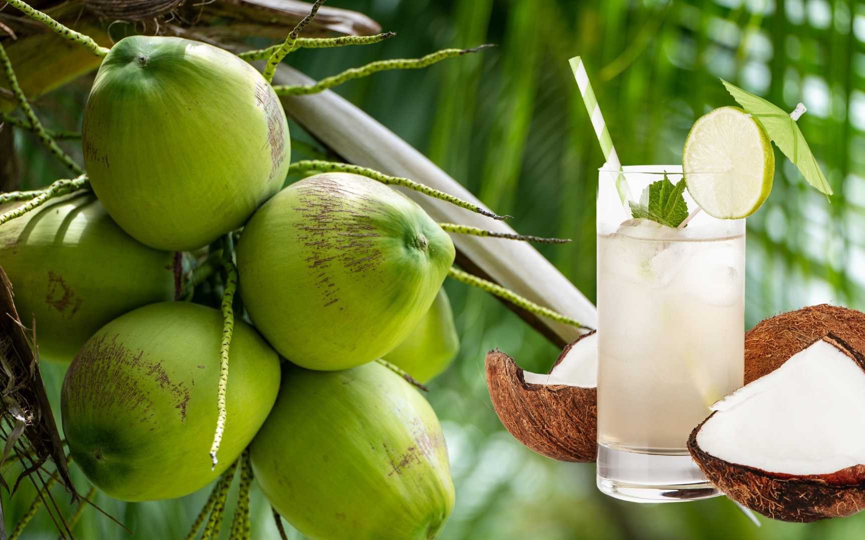 Dấu hiệu cảnh báo cơ thể đang bị mất nước mùa nóng và cách bổ sung nước hiệu quả
