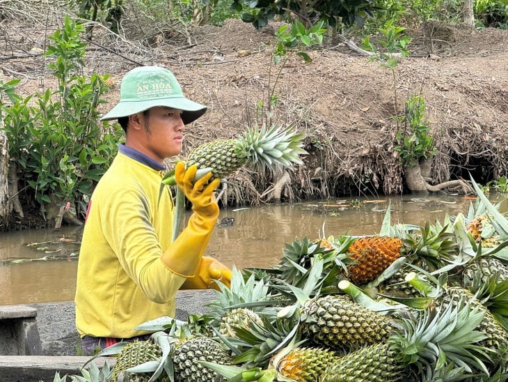đồng tháp - Ảnh 4.
