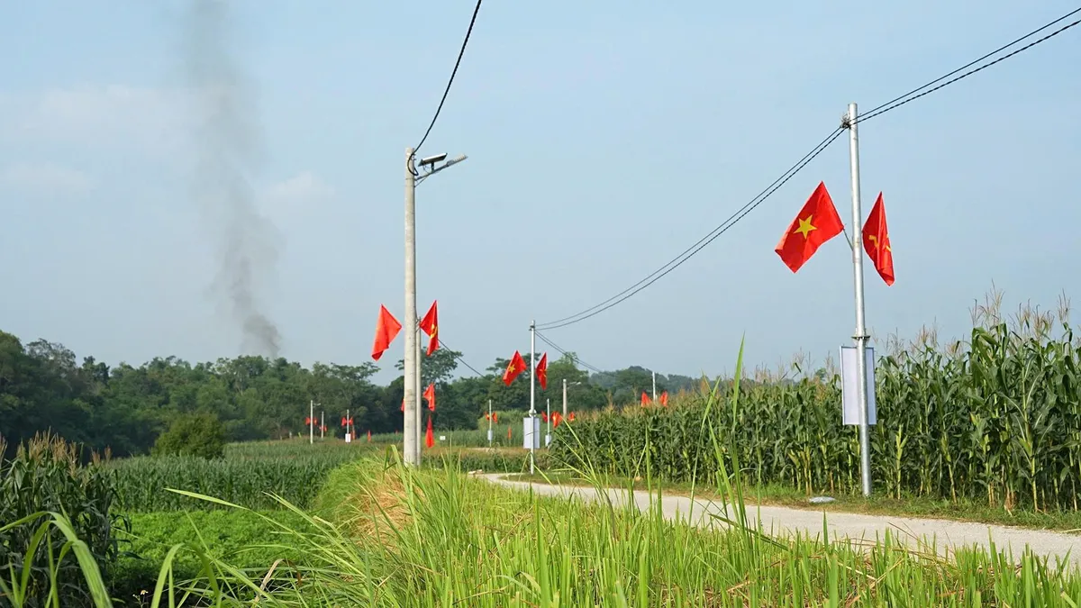 Khi đường thôn sáng đèn - Ảnh 2.