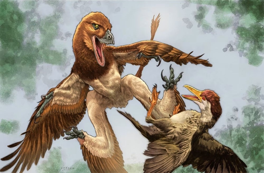 1億2000万年前の化石から、かつて古代の鳥類を狩っていた「4枚の翼を