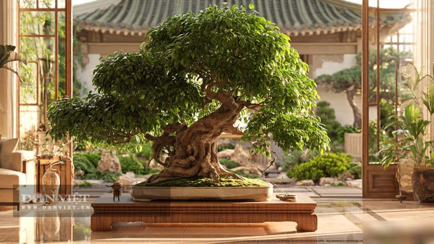 grow your own bonsai Grow Your Own Bonsai Tree Kit Japanese Cherry Blossom