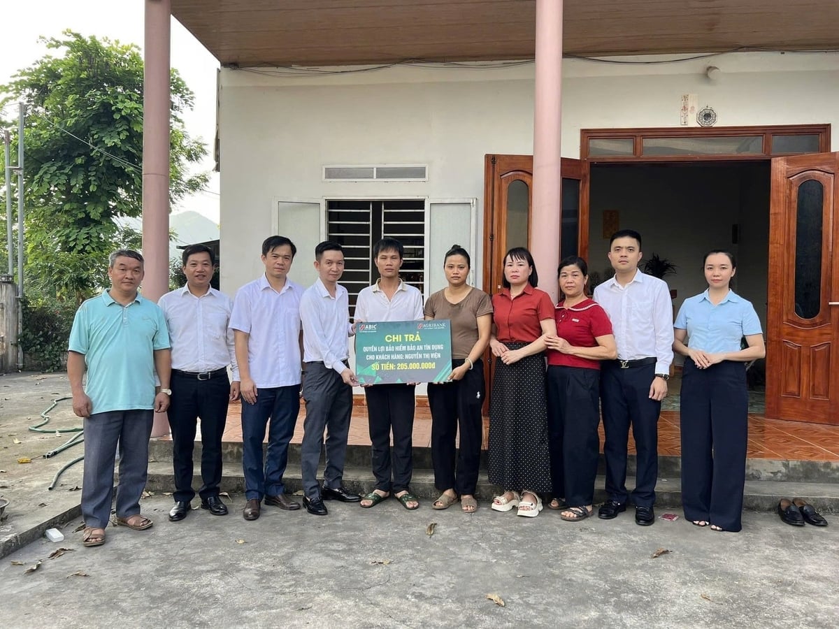 Trong tháng 5/2026, ABIC đã giải quyết 6.957 vụ bồi thường, tương ứng số tiền chi trả 73,011 tỷ đồng. Ảnh: ABIC.