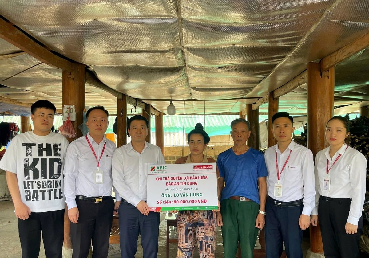 Bảo hiểm Agribank được triển khai thông qua mạng lưới Agribank trên toàn quốc, sản phẩm bảo hiểm Bảo an tín dụng mang ý nghĩa nhân văn sâu sắc khi hỗ trợ khách hàng vay vốn trước những rủi ro bất ngờ về sức khỏe và tính mạng. Ảnh: ABIC.