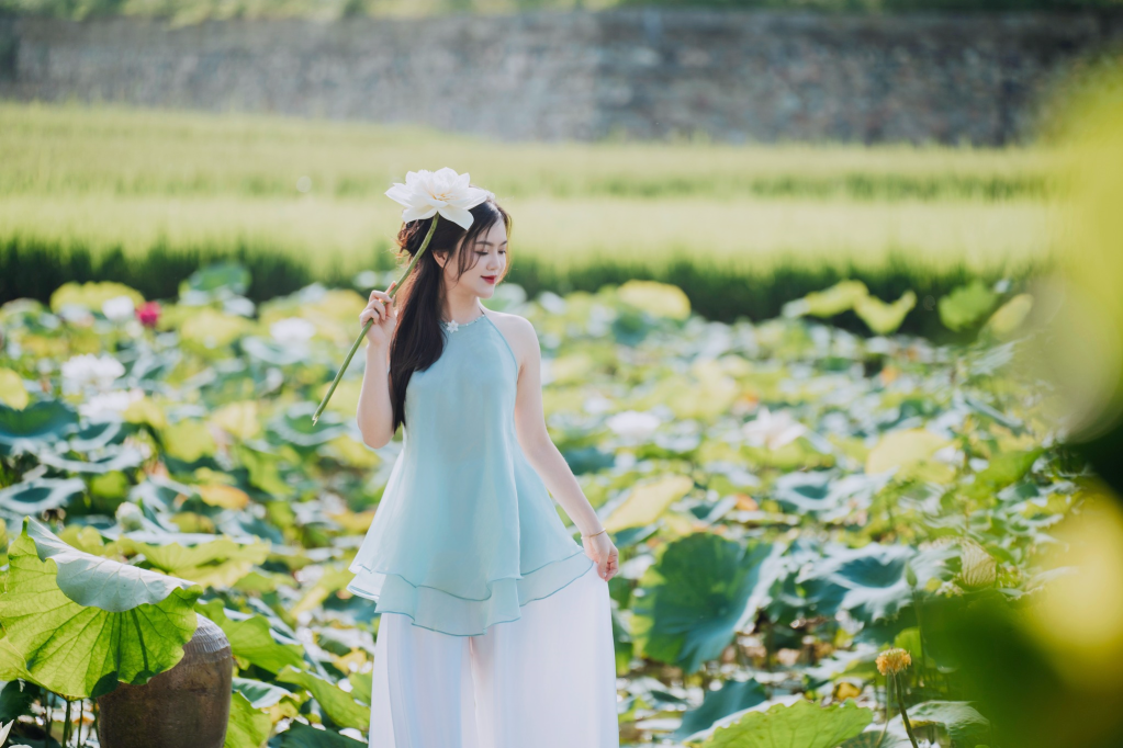 Sen tháng Sáu và nét đẹp thiếu nữ tạo nên một khoảng lặng dịu dàng giữa nhịp sống hối hả.
