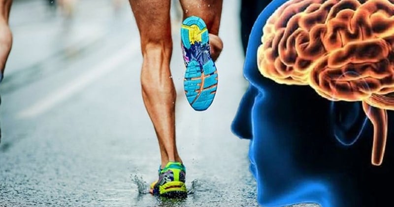 7 cách tự nhiên cải thiện trí nhớ- Ảnh 1.