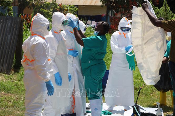 Khoảng 500 ca mắc virus Ebola được xác nhận ở Trung Phi- Ảnh 1.