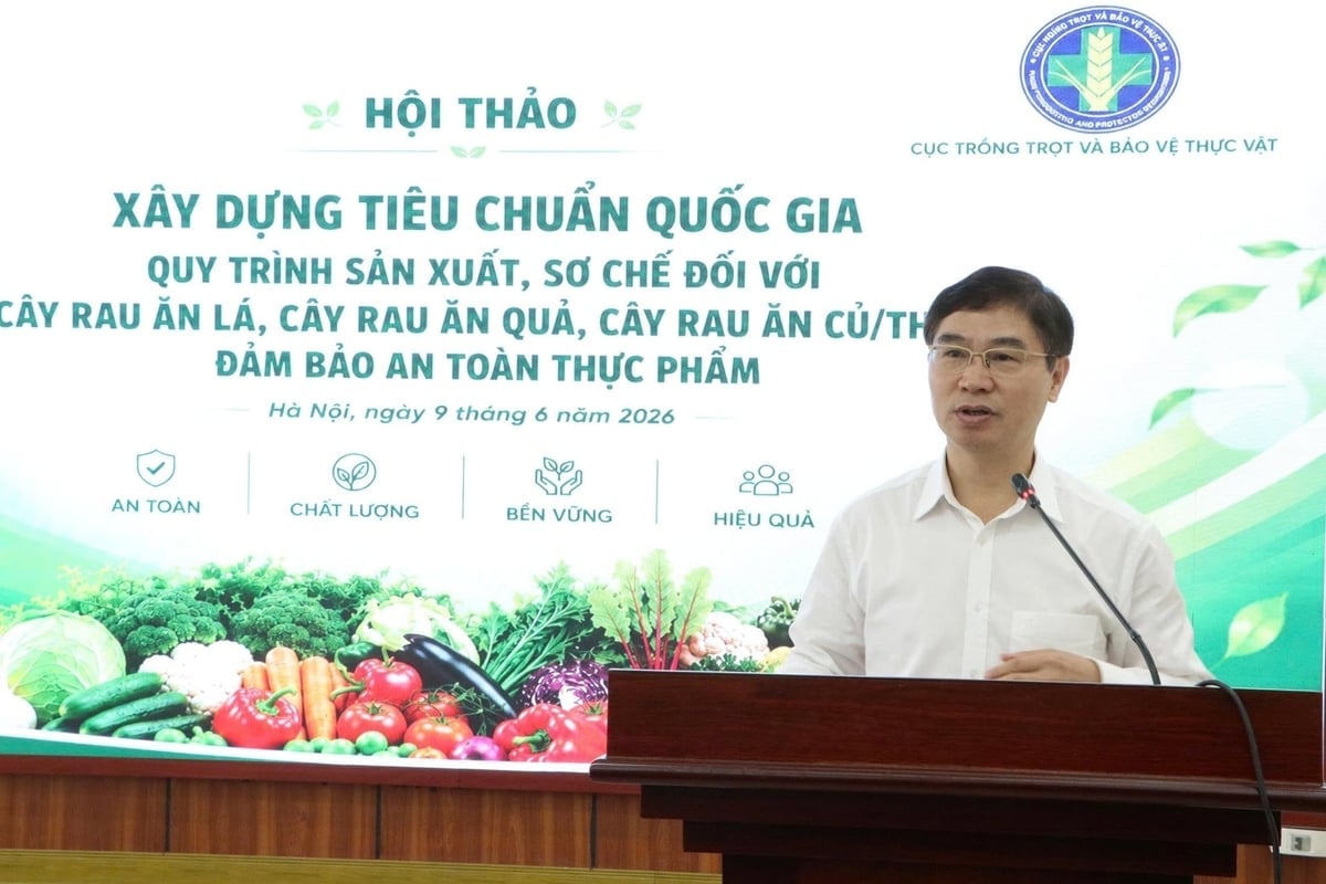 Ông Nguyễn Quý Dương phát biểu tại hội thảo. Ảnh: Minh Ngọc.