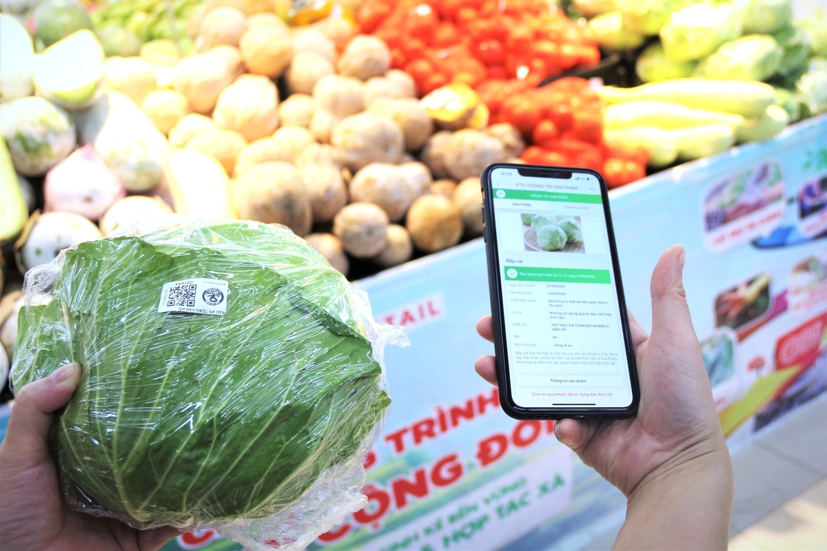 Nếu được ban hành và áp dụng hiệu quả, tiêu chuẩn mới sẽ góp phần chuẩn hóa sản xuất rau theo hướng an toàn, minh bạch và bền vững hơn. Ảnh: Trung Hiếu.