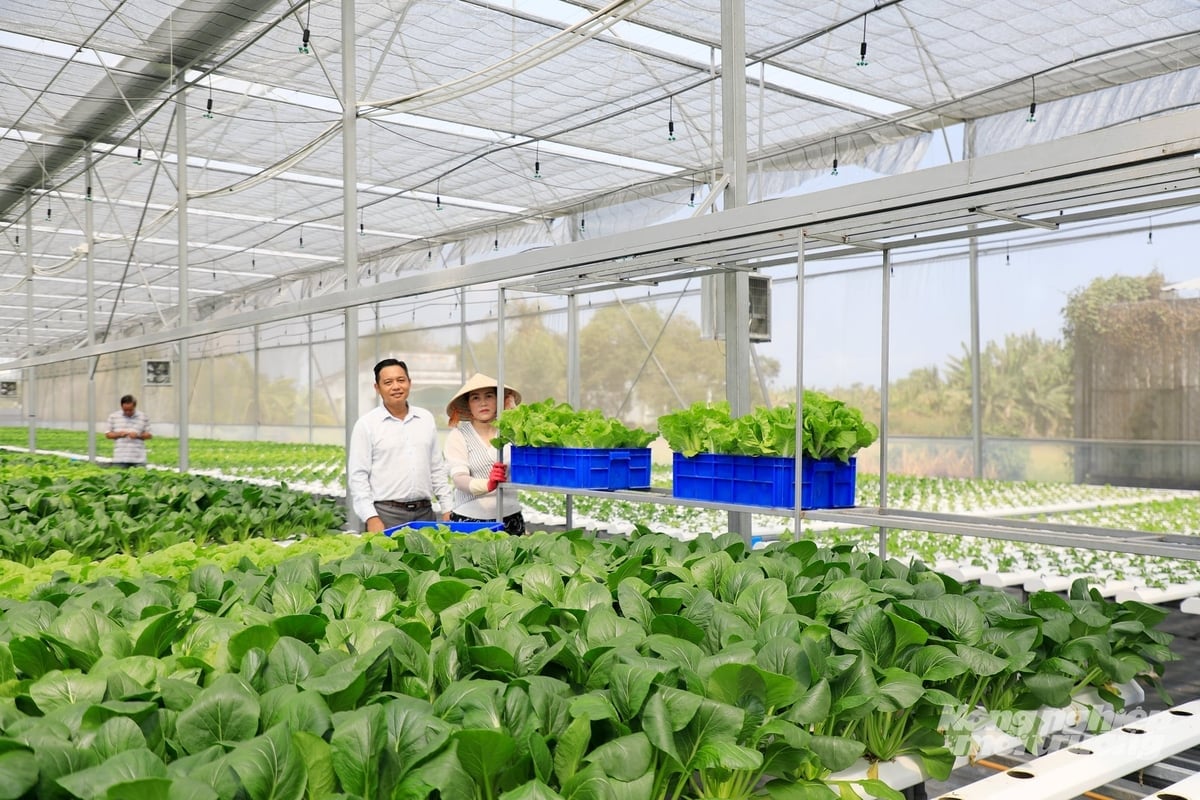 TP.HCM sau sắp xếp đơn vị hành chính có quỹ đất nông nghiệp hơn 454.000 ha, tạo điều kiện hình thành vùng sản xuất quy mô lớn, đa dạng hệ sinh thái và phát triển mạnh nông nghiệp công nghệ cao. Ảnh: Nguyễn Thủy.