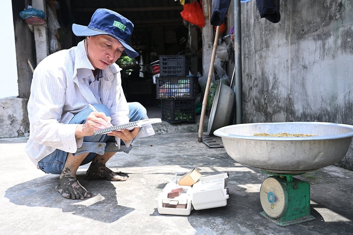 Anh Nguyễn Văn Thể cẩn thận ghi chép để tính toán năng suất lúa trong mô hình giảm phát thải. Ảnh: Bảo Thắng.