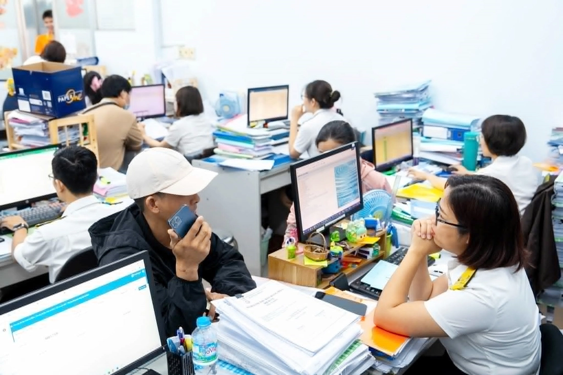 gian lận thuế - Ảnh 1.