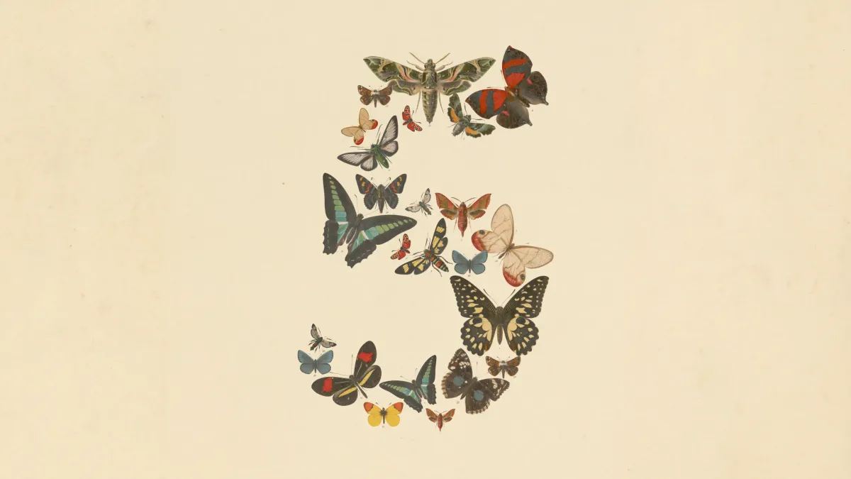 Anthropic ra mắt 