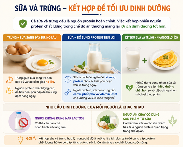 Trứng hay sữa: Chuyên gia giải đáp lựa chọn nào tốt hơn để tăng protein - Ảnh 2.