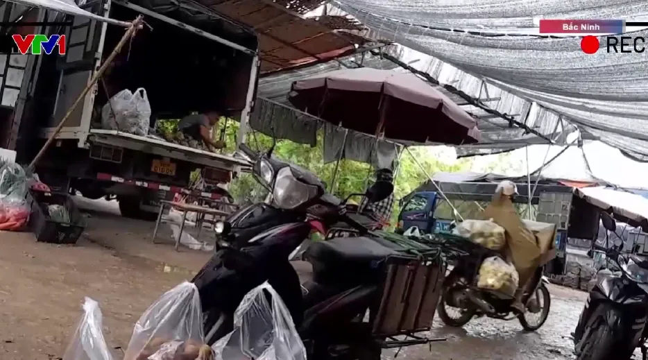 Chợ tự phát gần 2ha ở Bắc Ninh thu phí tiểu thương không hóa đơn - Ảnh 1.