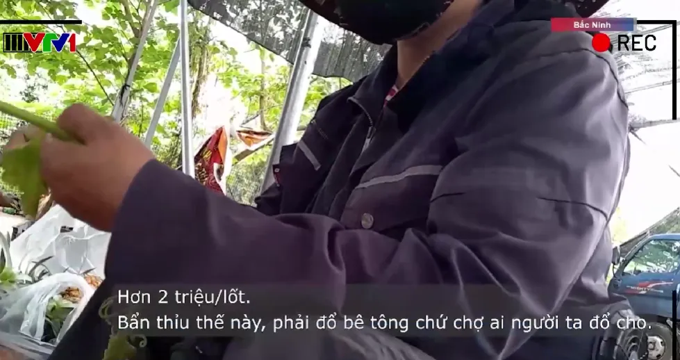 Chợ tự phát gần 2ha ở Bắc Ninh thu phí tiểu thương không hóa đơn - Ảnh 2.