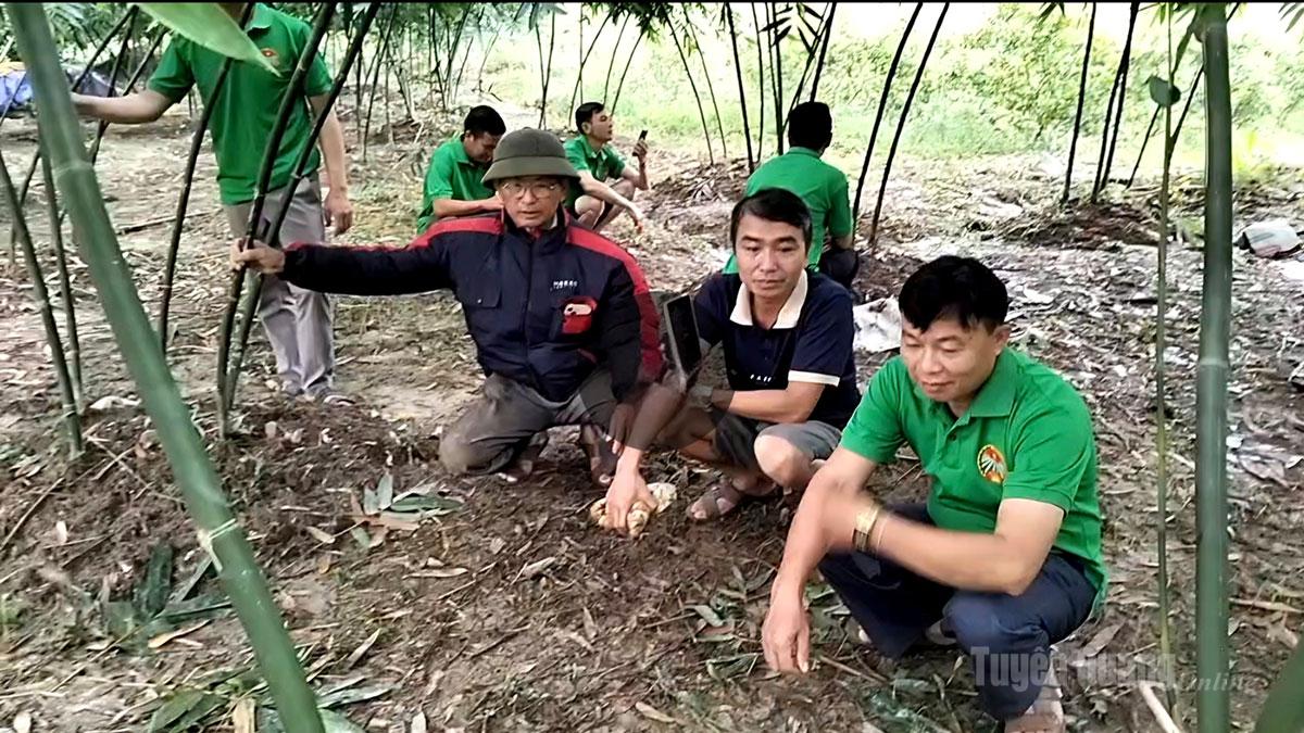 Ông Ma Hoa Tàm (đội mũ) đang phổ biến kinh nghiệm trồng tre Lục Trúc lấy măng của gia đình.