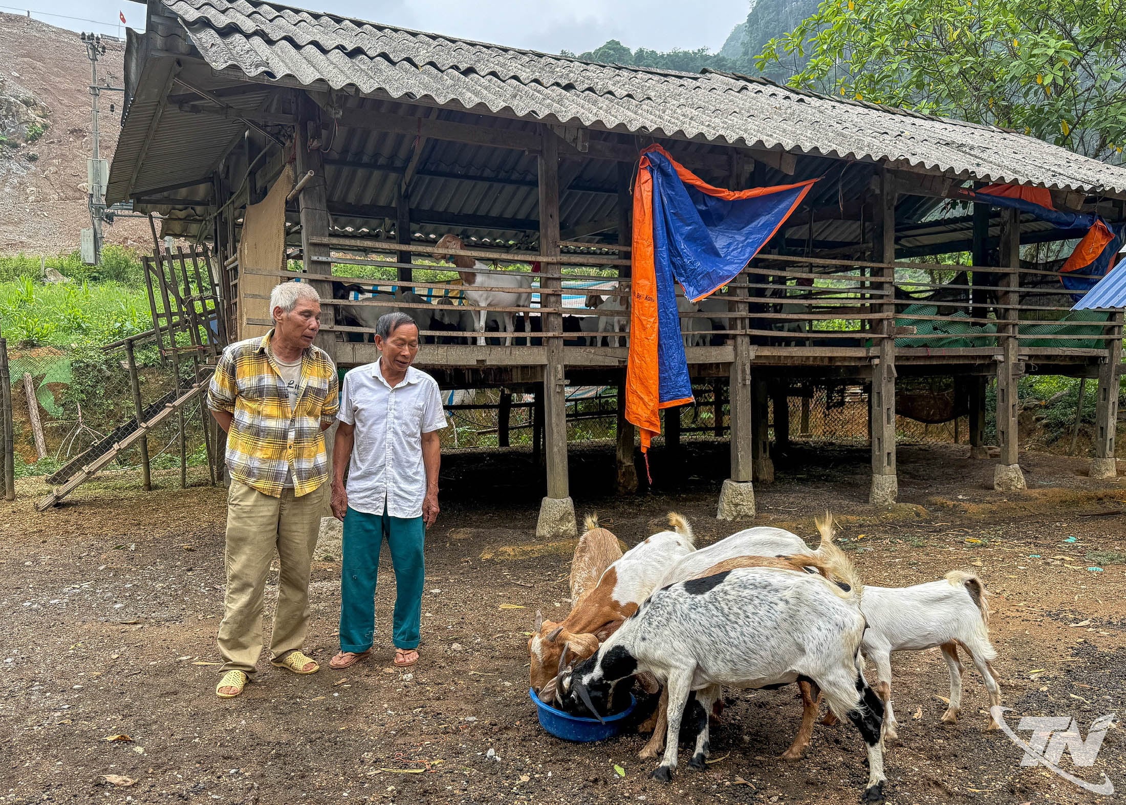 Die Ziegenpopulation in der Gemeinde Quang Son erfreut sich auch nach Projektende weiterhin großer Beliebtheit. Auf dem Foto: Herr Dang Tang Tho (links stehend) teilt seine Erfahrungen in der Ziegenhaltung mit den Dorfbewohnern.