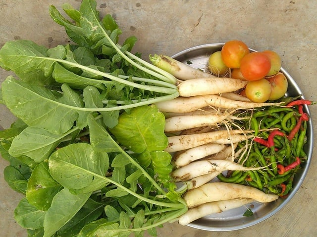 Củ cải có chất gì mà có thể phòng ung thư?- Ảnh 1.