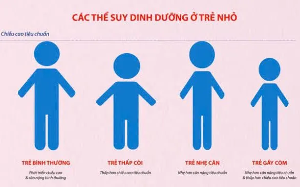 Hình minh họa.