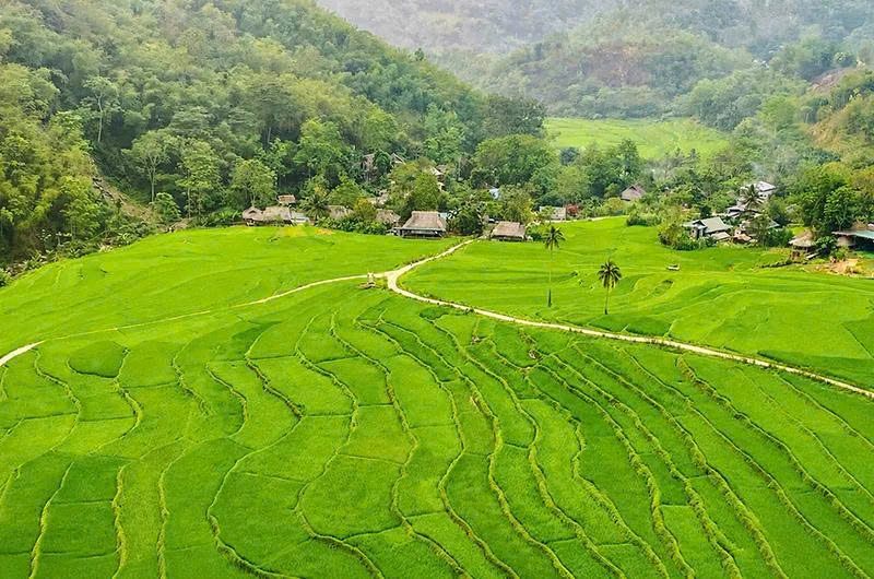 Bảo vệ diện tích lúa bậc thang gắn với phát triển du lịch