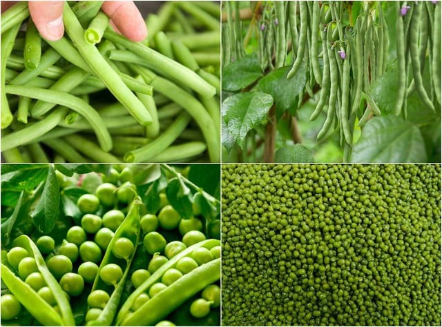 Ăn gì không béo, càng ăn càng gầy? - Ảnh 2.
