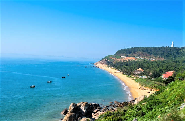 mực cơm - Ảnh 3.
