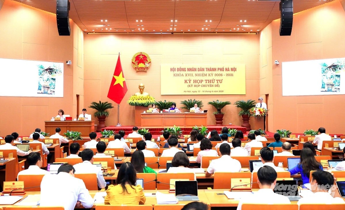 ภาพบรรยากาศงานประชุม ภาพถ่าย: เหงียน ตรวง Quang cảnh hội nghị. Ảnh: Nguyễn Trường.