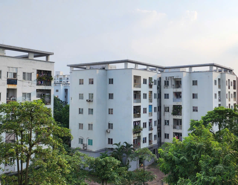 Nhà ở cho thuê: Kiến tạo để đột phá- Ảnh 1.