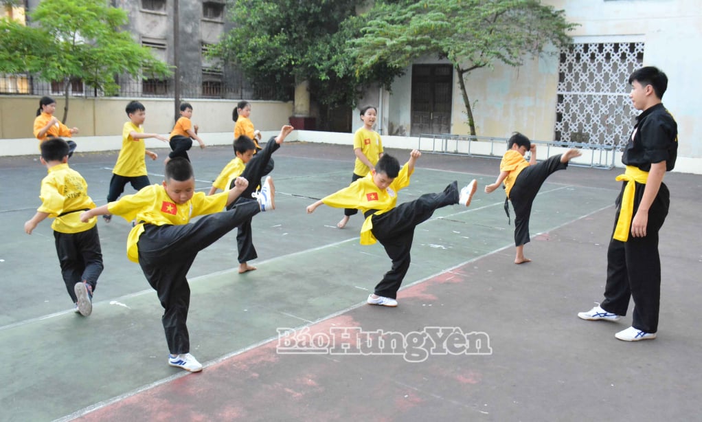 นักเรียนเรียนศิลปะการต่อสู้ที่ศูนย์เยาวชนจังหวัด (อาคาร 2 - แขวงไทบินห์)
