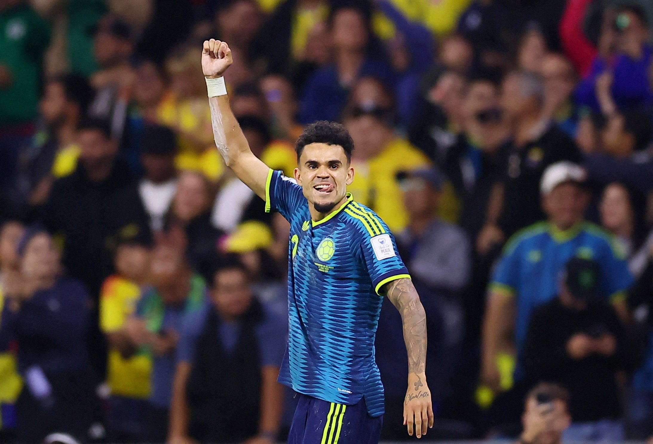 ハメス・ロドリゲス、ワールドカップ写真8 James Rodriguez, World Cup anh 8