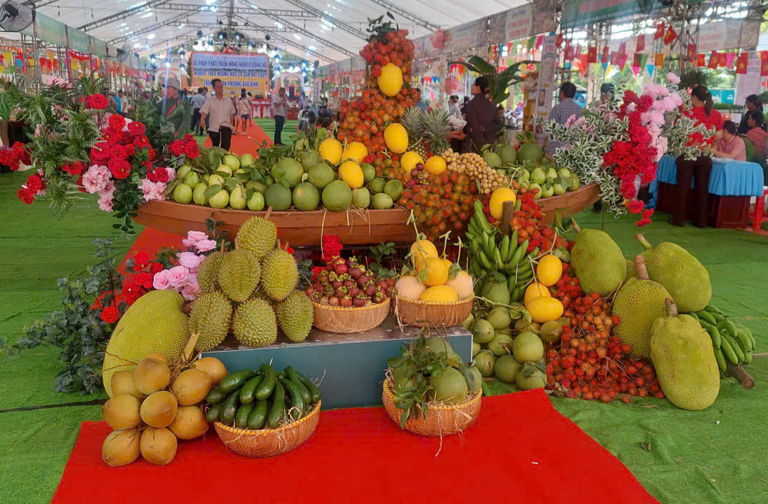 Descoperiți „regatul fructelor” din Dong Nai - Fotografia 2. Khám phá ‘vương quốc trái cây’ Đồng Nai- Ảnh 2.