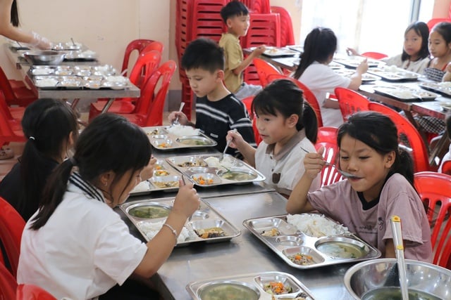 Đừng để mọi đứa trẻ ăn chung một khay cơm bán trú  - Ảnh 1.