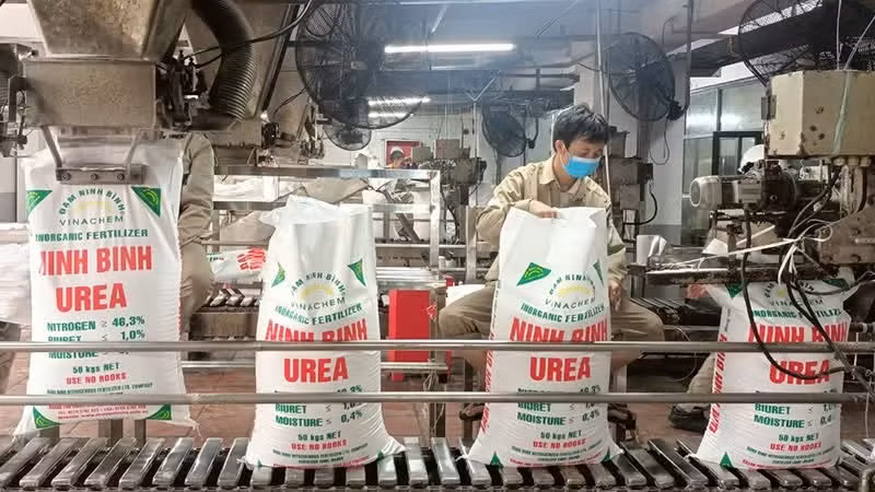Sản xuất urê tại Công ty trách nhiệm hữu hạn một thành viên Đạm Ninh Bình.
