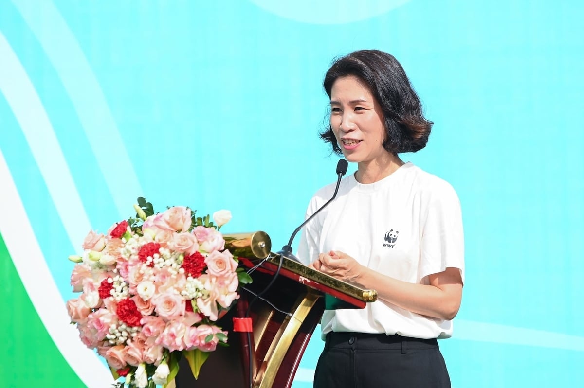 Tijdens haar eerste bezoek aan Vietnam zei Park Min-hye dat ze hoopte de prachtige landschappen en het levendige ecosysteem van Vietnam ook tijdens toekomstige reizen te kunnen bewonderen. Foto: Tung Dinh. Lần đầu đến Việt Nam, bà Park Min-hye cho biết, bà mong những lần trở lại trong tương lai vẫn được chứng kiến những cảnh quan tươi đẹp và hệ sinh thái giàu sức sống của Việt Nam. Ảnh: Tùng Đinh.