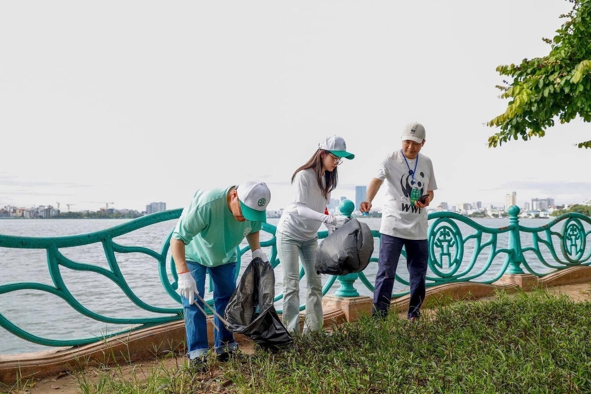 Het Westmeer wordt beschouwd als de groene long, een ecologisch toevluchtsoord en een uniek landschap van Hanoi, en tevens als een cultureel symbool dat diep verbonden is met vele generaties mensen. Foto: Khuong Trung. Hồ Tây được xem là lá phổi xanh, không gian sinh thái và cảnh quan đặc biệt của Thủ đô Hà Nội, đồng thời là biểu tượng văn hóa gắn bó với nhiều thế hệ người dân. Ảnh: Khương Trung.