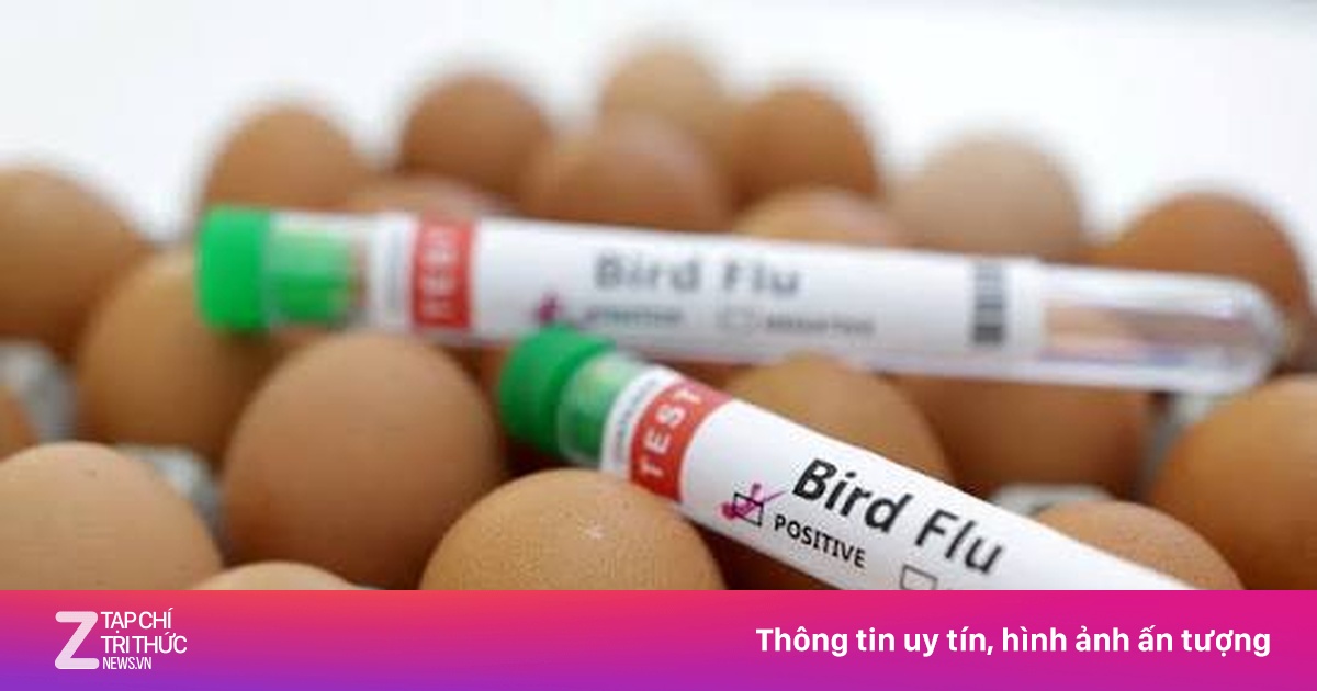 Australia Confirms First H5 Avian Flu Cases in Seabirds