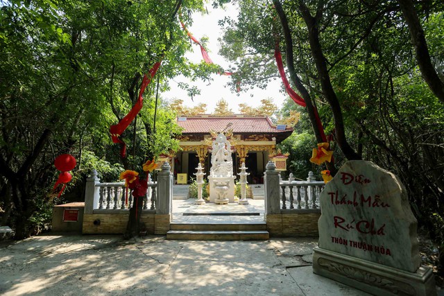 ป่าศักดิ์สิทธิ์ในเมือง: ตำนานใต้ร่มเงาของป่ารูฉา - ภาพที่ 1 Rừng thiêng giữa phố: Huyền tích dưới tán rừng Rú Chá- Ảnh 1.