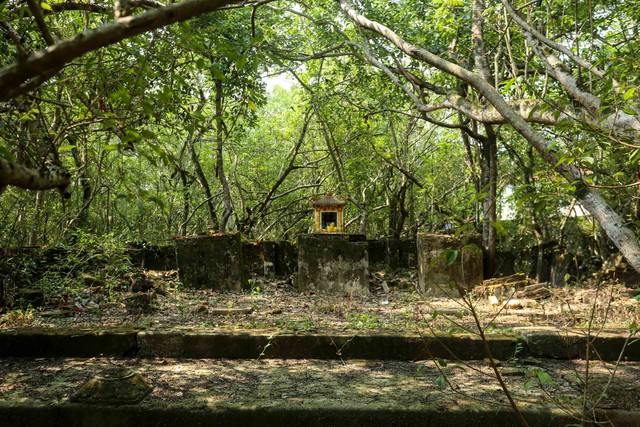 ป่าศักดิ์สิทธิ์ในเมือง: ตำนานใต้ร่มเงาของป่ารูฉา - ภาพที่ 4 Rừng thiêng giữa phố: Huyền tích dưới tán rừng Rú Chá- Ảnh 4.