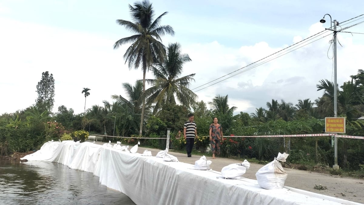 The landslide occurred in Thanh Phong hamlet, Tan Long Hoi commune. Photo: Minh Dam. Đoạn sạt lở tại ấp Thanh Phong, xã Tân Long Hội. Ảnh: Minh Đảm.