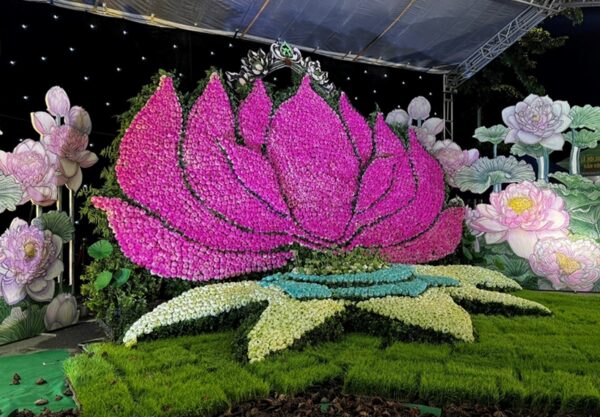Lễ hội Sen Hà Nội năm 2026
