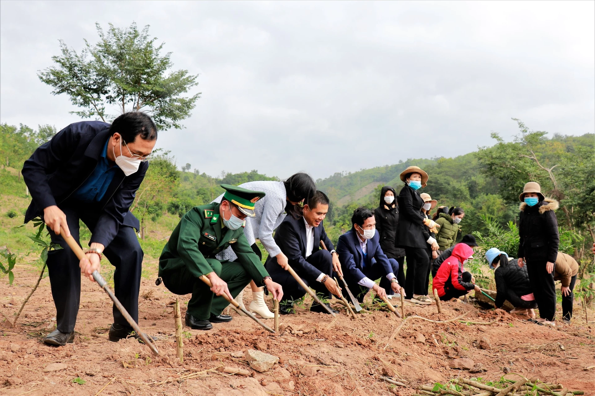 Lanzamiento de una campaña de plantación de flores en el municipio de Lìa - Foto: P.X.D
