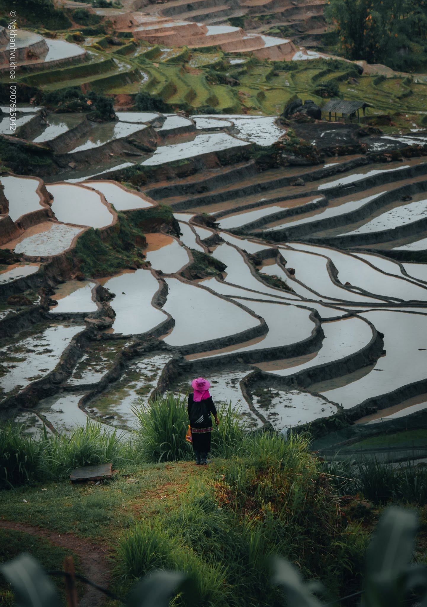 Gallery - Silently admiring Y Tý during the rainy season. - image 3