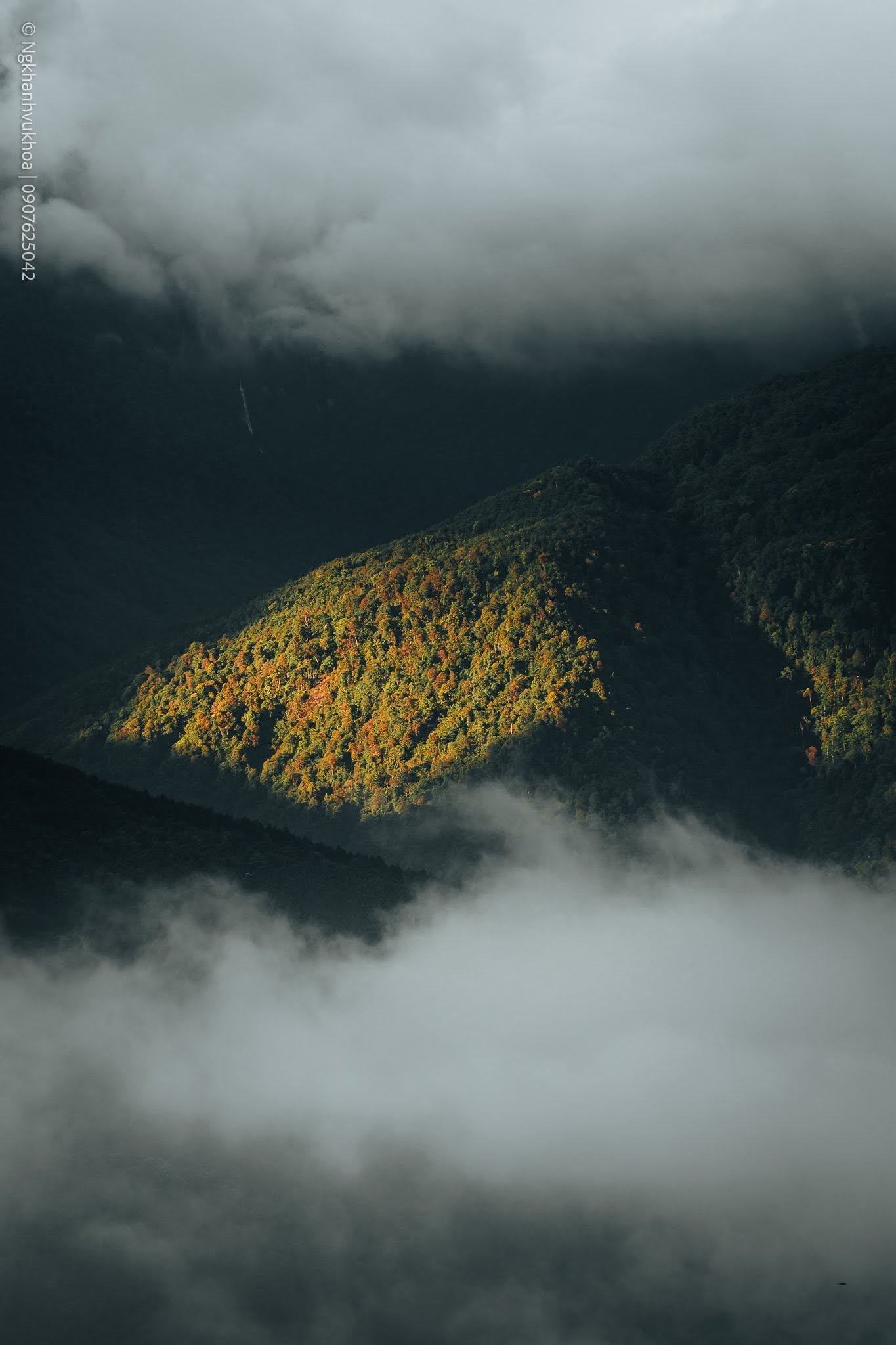 Gallery - Silently admiring Y Tý during the rainy season. - image 4