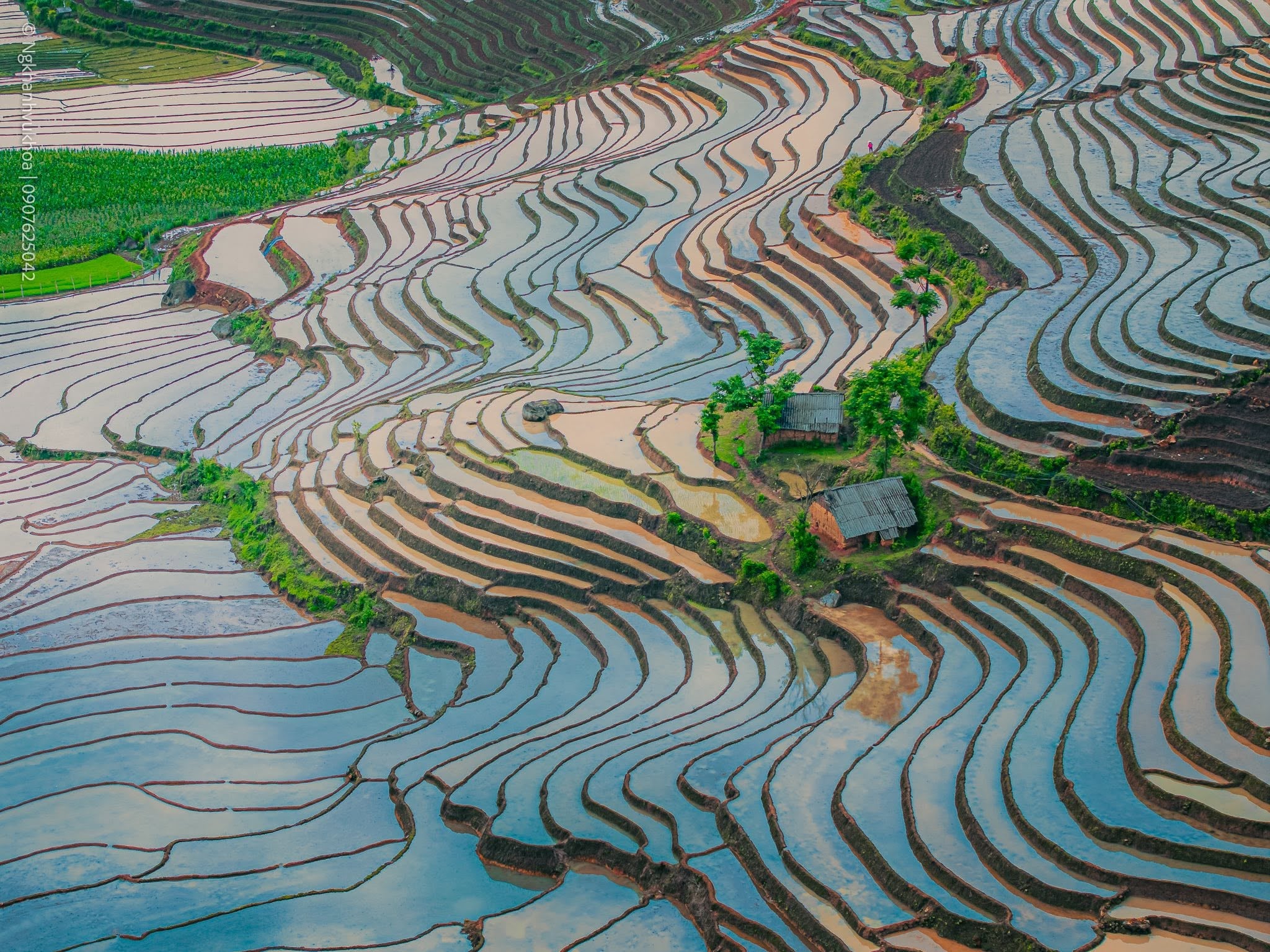 Gallery - Silently admiring Y Tý during the rainy season. - image 5