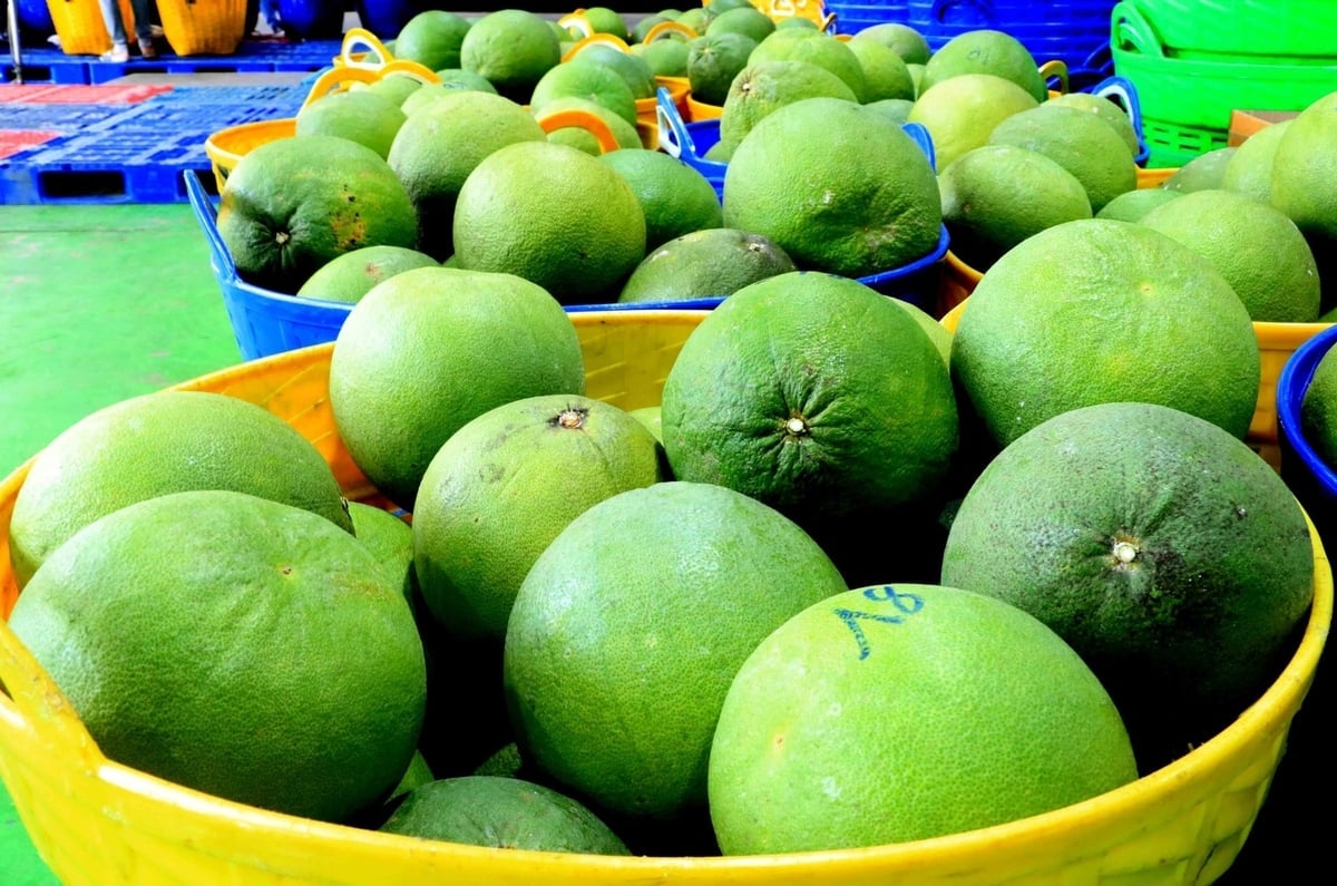 Mở “luồng xanh” rau quả sang Trung Quốc