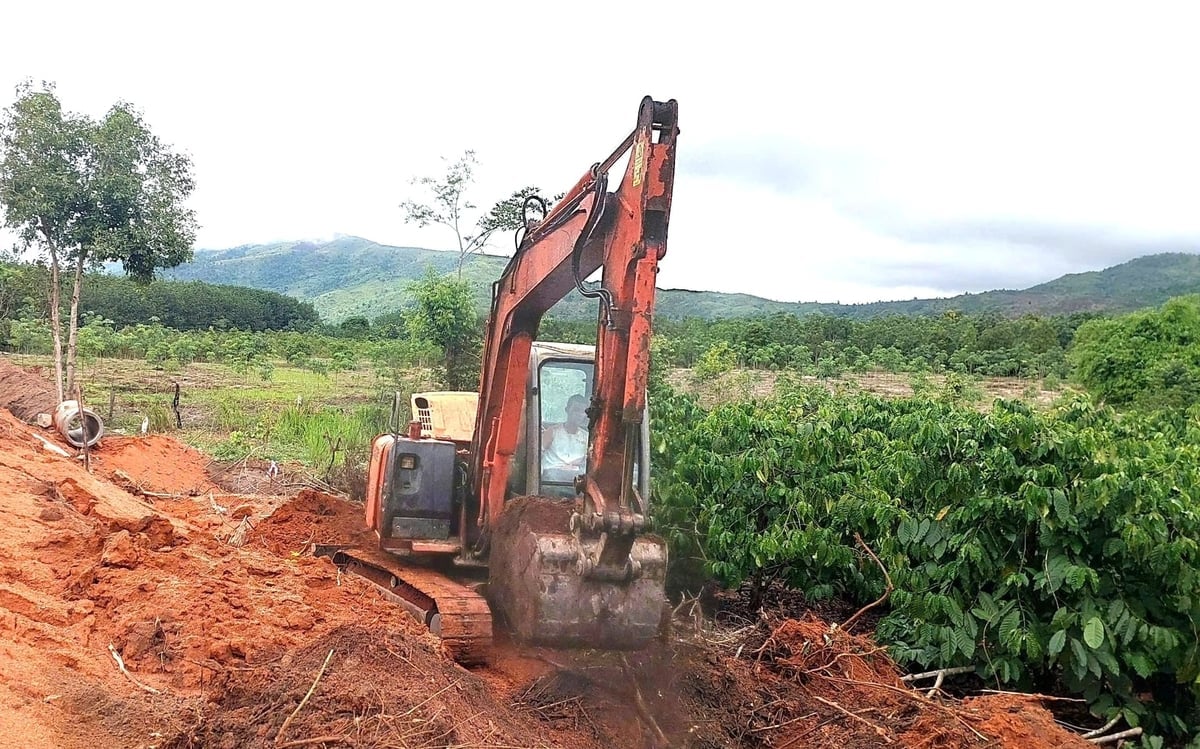Unterstützung der Anwohner bei der Rodung ihrer Obstgärten und der schnellstmöglichen Übergabe des Landes für das Projekt. Foto: Dang Lam. Hỗ trợ người dân dỡ bỏ vườn cây, sớm bàn giao mặt bằng cho dự án. Ảnh: Đăng Lâm.