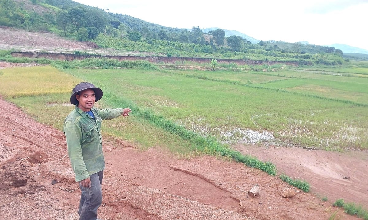 Herr Rơ K'sor Man und die Dorfbewohner von Kách übergaben freudig das Land für die Umsetzung des Projekts. Foto: Đăng Lâm. Anh Rơ K'sor Man và người dân làng Kách vui vẻ bàn giao mặt bằng để triển khai dự án. Ảnh: Đăng Lâm.